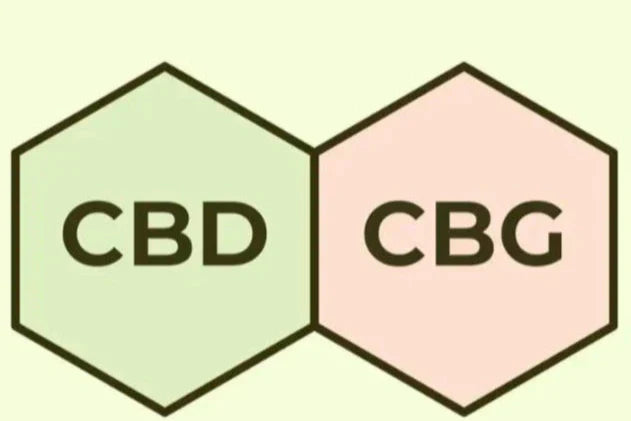 cbd-e-cbg-insieme