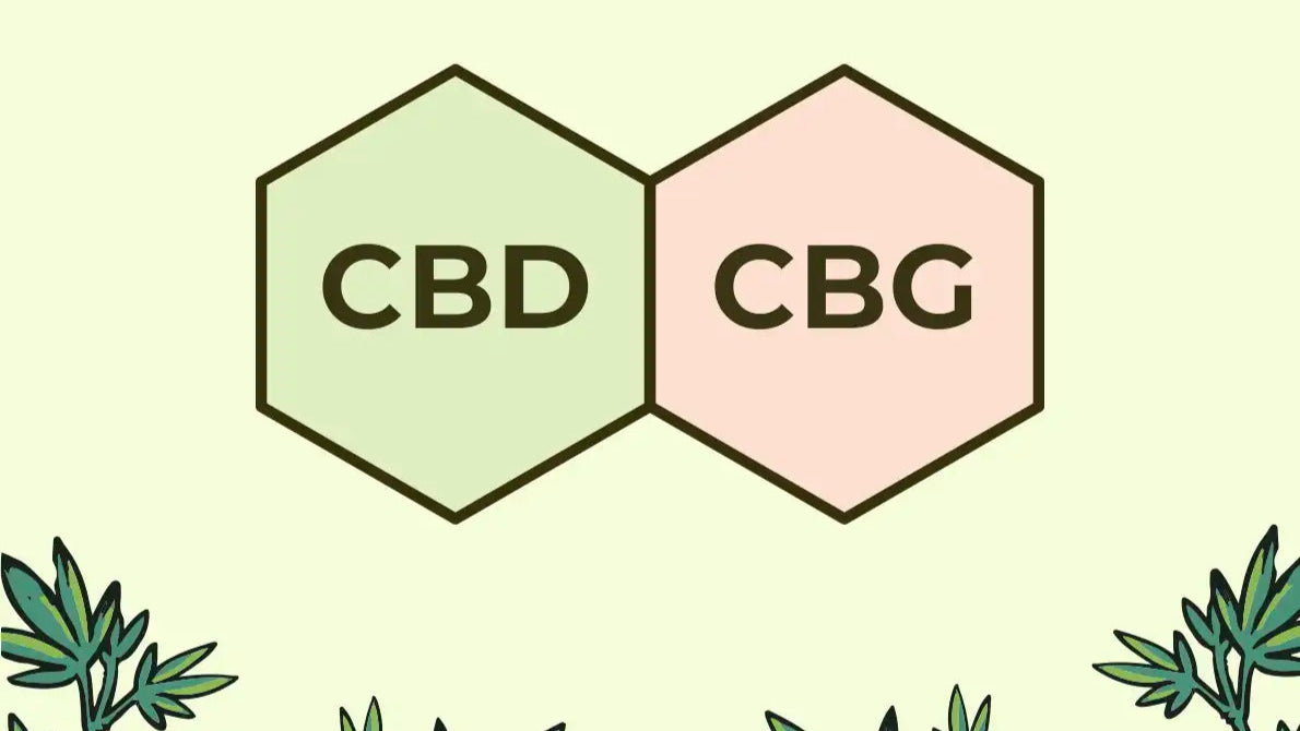 cbd-e-cbg-insieme