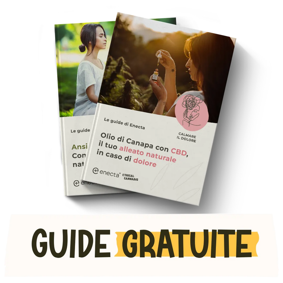 enecta guide gratuite