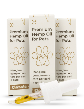 3 pack | Premium Hemp Oil per animali 500 | 10 ml